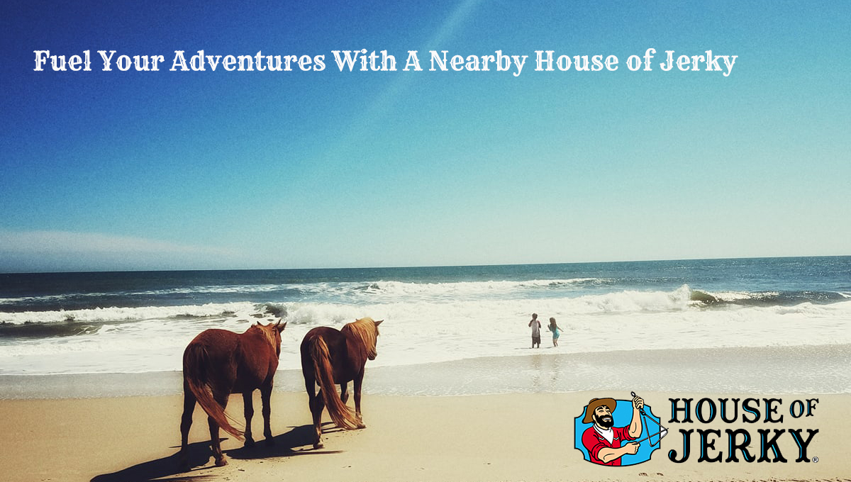 The words Fuel your adventures with a nearby house of jerky on the upper left with the house of jerky logo in lower right. The background is the ocean with two kids playing and two horses watching