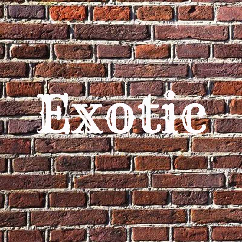 the word exotic on a brick background