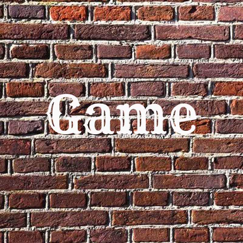 the word game on a brick background
